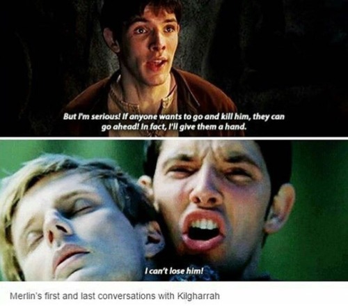 100tuesdays:I miss Merlin so much