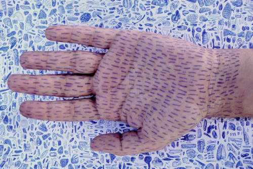 untrustyou:  Bruno Cazzola  