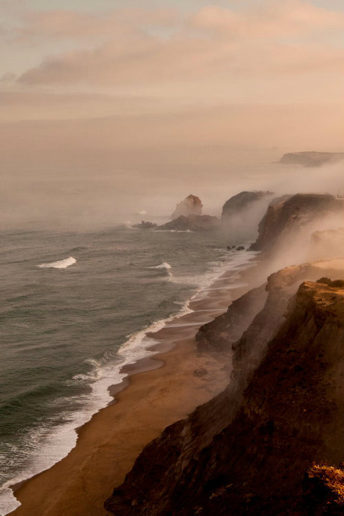 ternpest:  (via 500px / Morning wonder by Jorge Maia) 