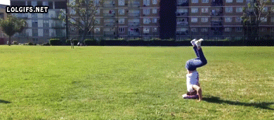 The Absolute Best GIFs