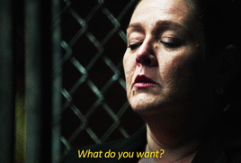 winged-mammal:asleepinawell:What do you want me to tell this bitch?#the closest we ever see the mach