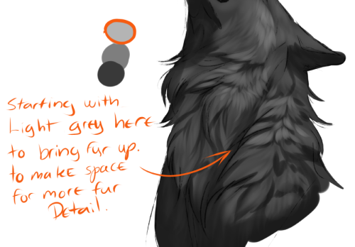 grypwolf:Okay there is no way I can make this in only few steps so I madePART 2. HOW I MAKE / SHADE 