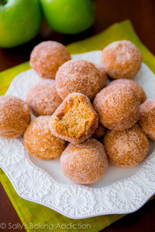 (via Spiced Apple Cider Donut Holes. - Sallys Baking Addiction) 