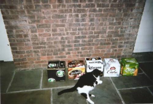twodoork:  fred (or george) & boxes by my girl Erin 