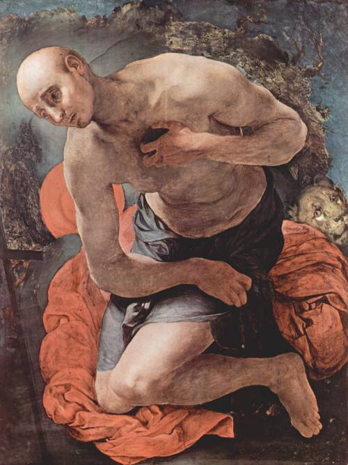 Jacopo Pontormo The Penitence of St. Jerome, adult photos