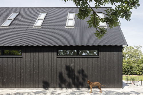 Barnhouse V - Boxtel, The Netherlands - Wenink Holtkamp Architecten - via ArchDaily____Arthur and Pu