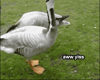 Mfw I get Cure Lv1 enchant on my Light of Cure with less than 50 coins spent for