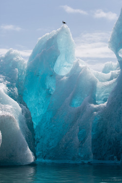 st0rming:    Jökulsárlón Iceberg II by 