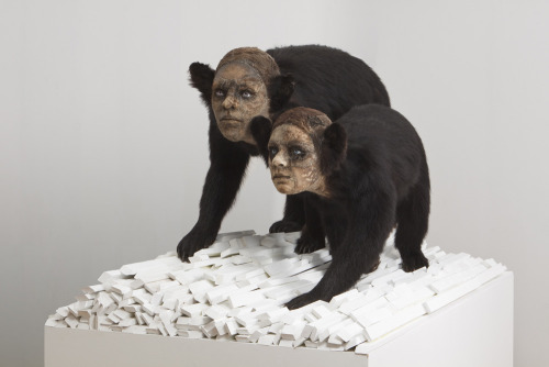 dramaticbackstory: sixpenceee: Artist Kate Clark uses clay to sculpt human faces onto taxidermed ani