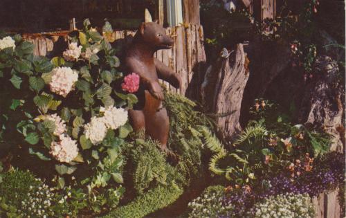 cardboardamerica:  Dinnell’s Redwood Burl Gift Factory and Retail Store - Garberville, California Mr. Bear Carved of California RedwoodGreets the traveler from his native fern garden in front of Dinnell’s Redwood Shop, Garberville, California, on