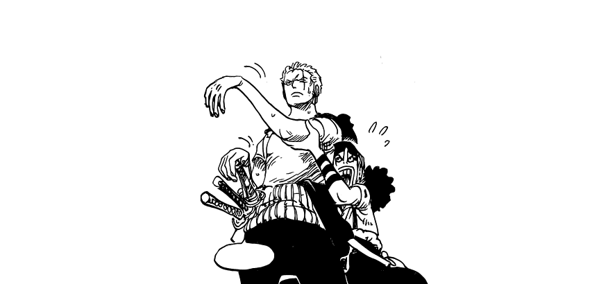 Hey Nami Dog Lady One Piece 806 Zou