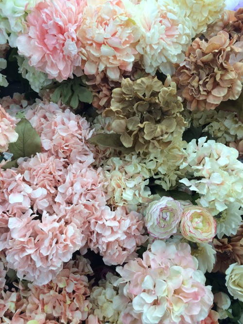 babyboykiss:from a little flower shop downtown