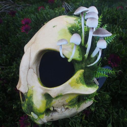 This moss and mushroom cat skull masks will be for sale in 1hr when my Etsy shop restocks at 9am! Li