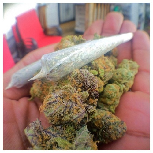 chronicmeds:  taken from instagram