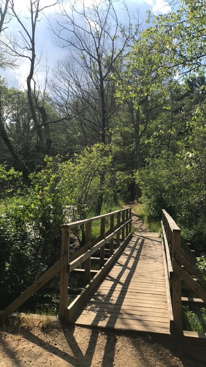 In high school, I used to hike to a place that you could sit on an abandoned railway