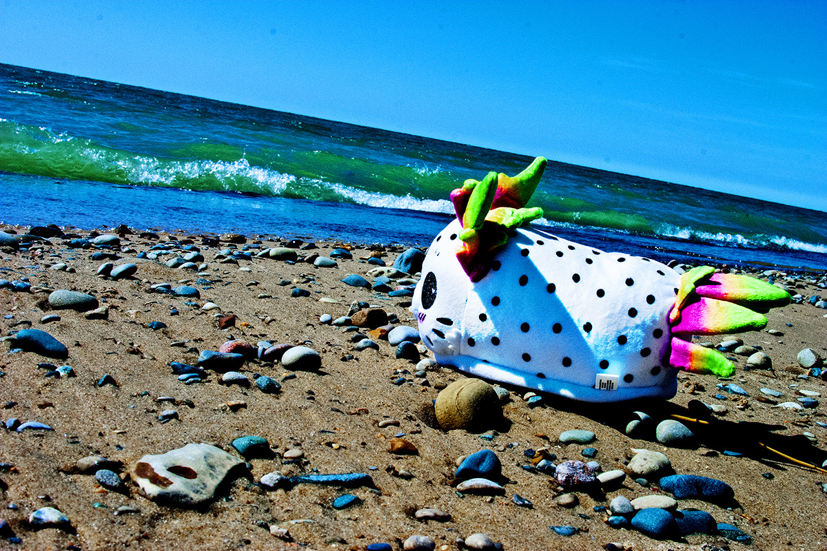 sorbetjungle:  Sea Bunnies go to the beach!Yesterday our sea bunnies got to take