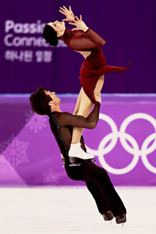 scott moir