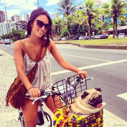silly-luv:  ♡ find your best posts on my blog ♡