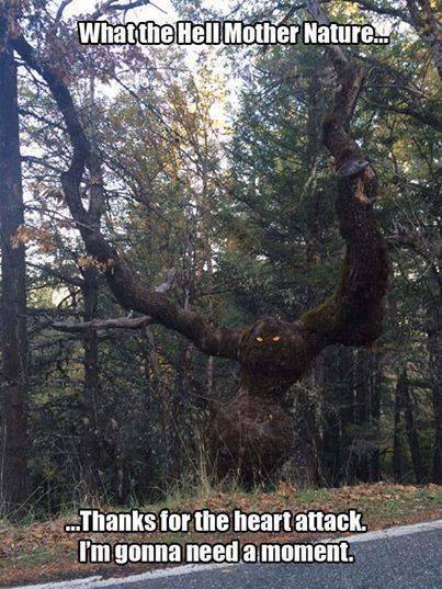 bestfunnystuffs:  bestfunnystuffs for some fun