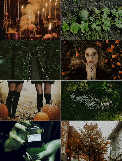 https://64.media.tumblr.com/19dc4b59027a5cfa945fbb3a92eaa97f/tumblr_oxxcfduguX1vcbis2o1_500.png