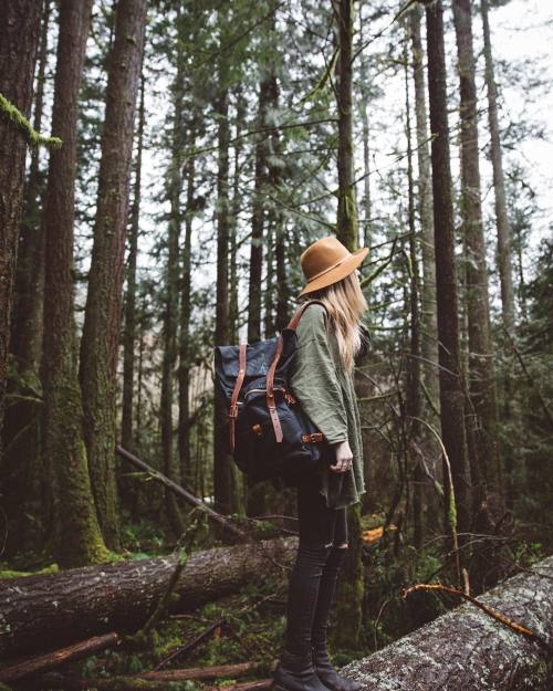 grace–upon–grace:  Bradley Mountain