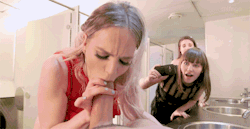 One-Porn-Kingdom:    The Porn Kingdom  