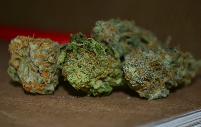 KUSHANDWIZDOM