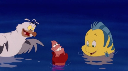 Scuttle, Sebastian and Flounder - Favourite Disney Charactersxx