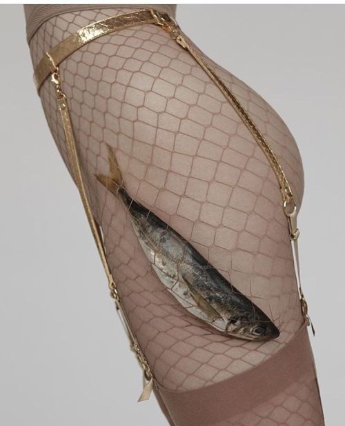 frauleinkink:  #servingfish #luxurylingerie #spoilyourself #goldengodess #frauleinkink #python @pass