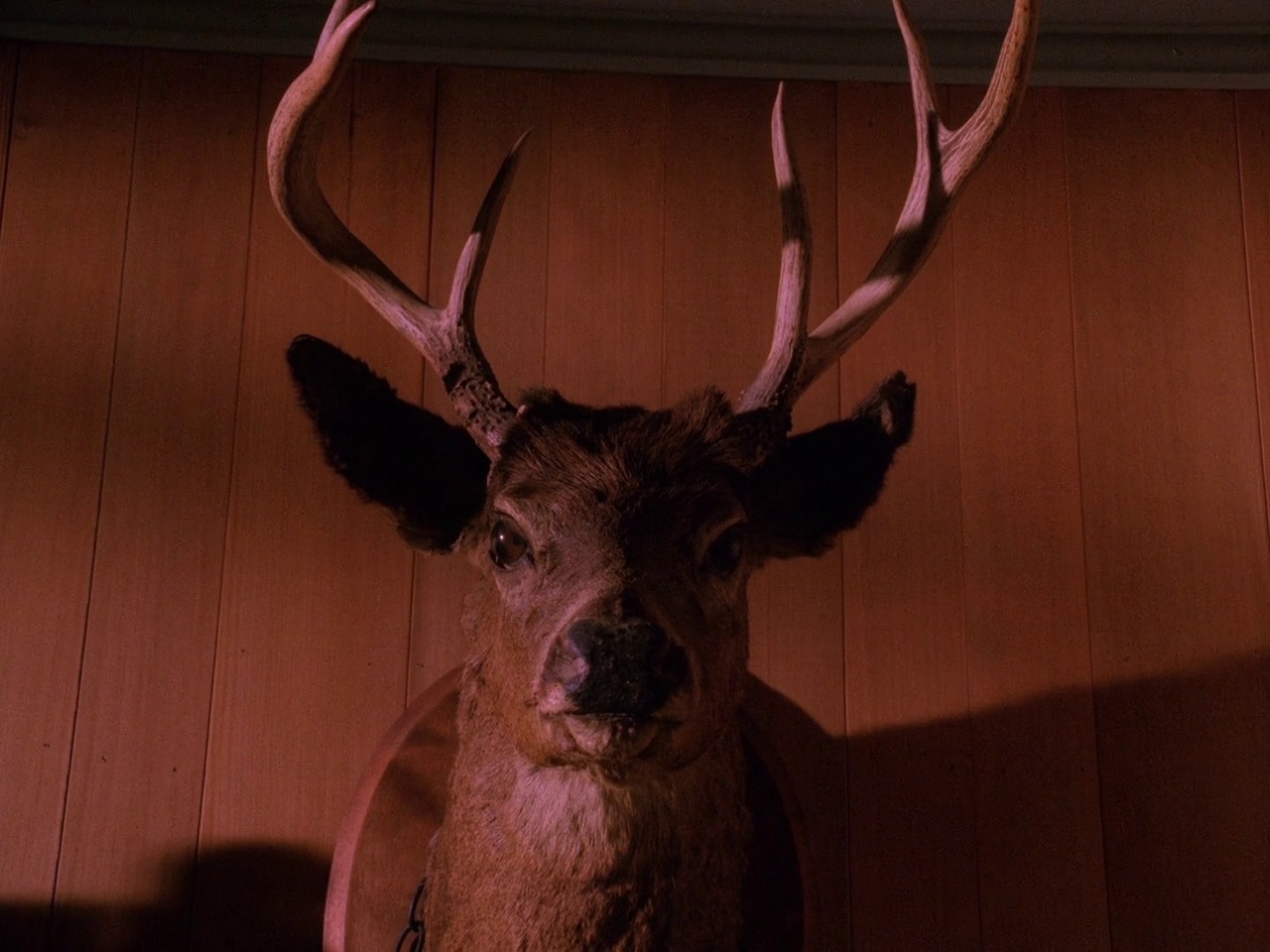 hansolocareer: Twin Peaks: Coma (dir; David Lynch)