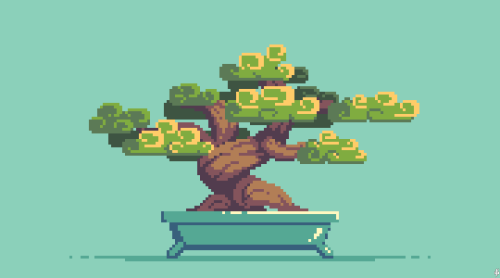 586. Bonsai