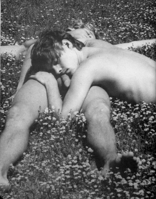 🐧 You Must Be Gay+ To View This Blog*