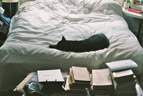 cantess:  CNV00003 by dkohara50 on Flickr. 