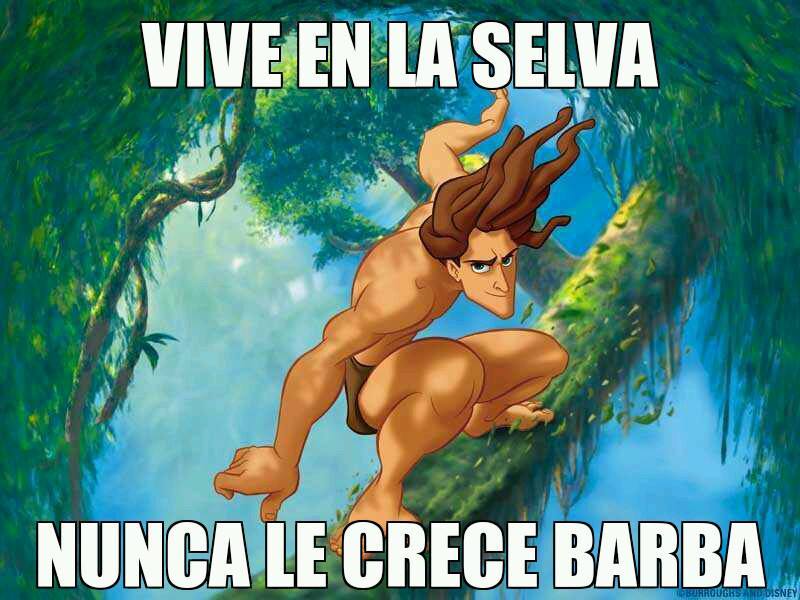 Que vida mas triste...