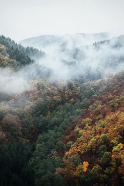 banshy:  Autumn Colors in Germany by: Daniel Ernst 