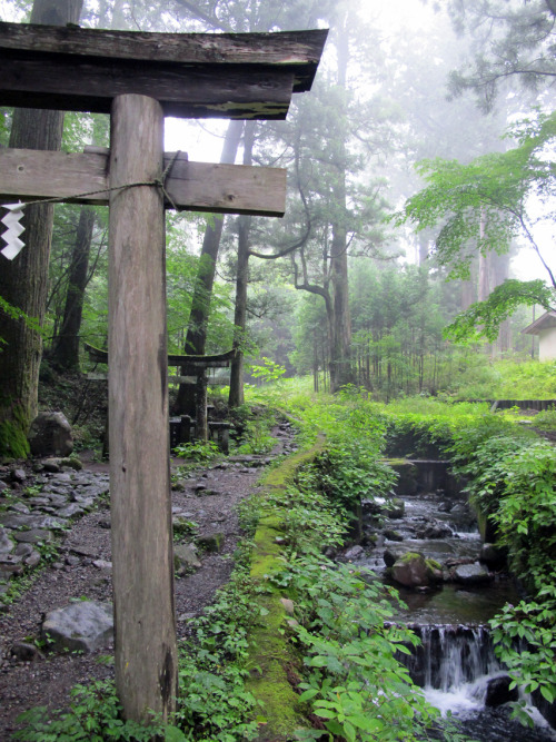 We found a secluded shrine in the mountains. Even uncle Google didn’t know it existed. Mist, cicadas