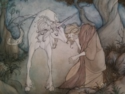 morcante: “And where were you twenty years ago? Ten years ago? Where were you when I was new? When I was one of those innocent young maidens you always come to? How dare you! How dare you come to me now, when I am this!” The Last Unicorn (1982) Art