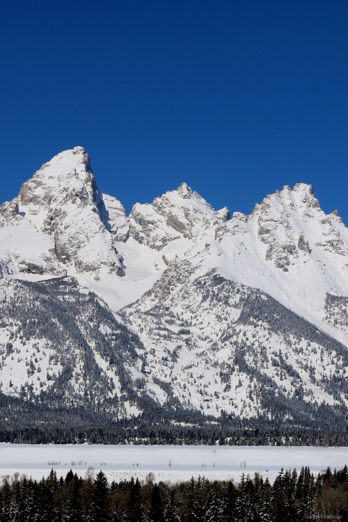 riverwindphotography:Winter White in the Teton Range: Grand Teton National Park, Wyomingby riverwind