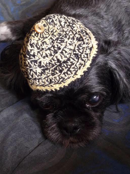 Jake wishes you a Happy Hanukkah this festive season ✡️