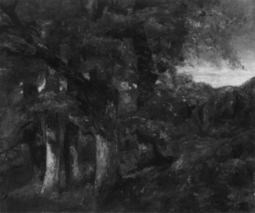 Wooded Landscape, Gustave Courbet, 1819, Art Institute of Chicago: European Painting and SculptureGi