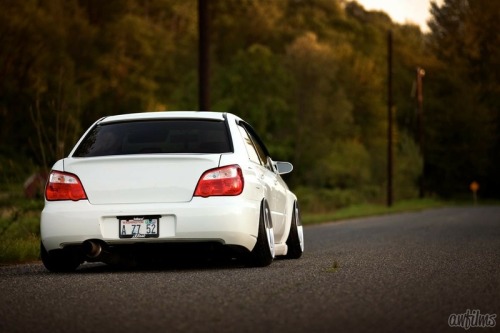 deividbersta:  White collection