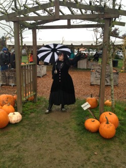 gothiccharmschool:  THREAT LEVEL: RAIN-DRENCHED PUMPKINS. 