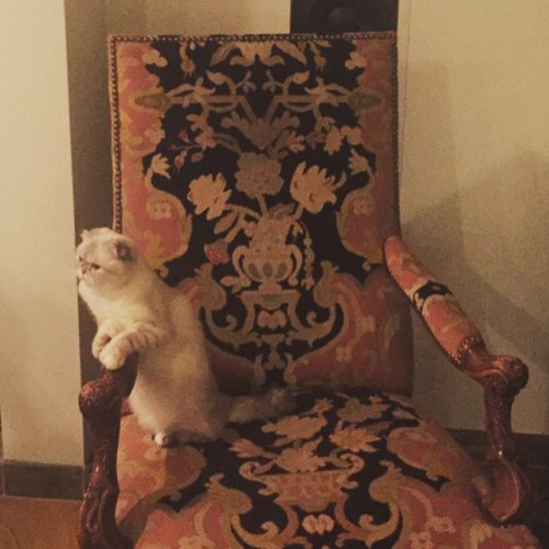 taylorswift:Detective Olivia Benson is sitting in her chair, thinking about her life.