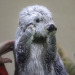 uznmaki:when i tell u i would die for mei-chan from the toba aquarium….
