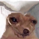 toadprince:  im-trash-dont-mind-me:  rebe83:   toadprince: hi i rarely shower and when i do i don’t wash my hair, i dont brush my hair, i dont take care of my hygiene at all, i drink soda exclusively instead of water, my only hobbies video games and