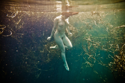 theonlymagicleftisart:Underwater Photography by Neil CraverTumblr | Facebook | WebsiteTo subscribe t