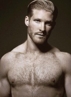 Hairy Hunky Men