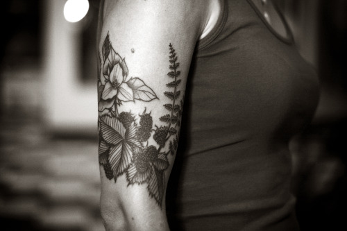 alicecarrier:  trillium, blackberries, ferns. 