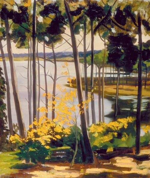 Winston Churchill - Mimizan Lake c.1922. Oil on canvas.