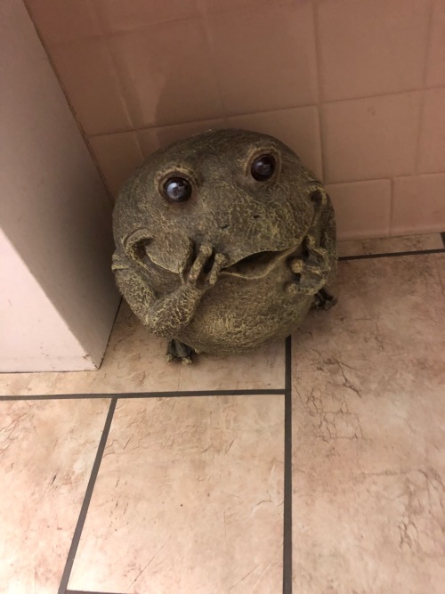 kewlaidbih:  a rating of all the frogs in my neighbors’ frog-themed bathroom very round and good! his face shows an emotion that i can’t quite describe. 10/10 here we have an arts and crafts frog! he has a nice figure but his lack of eyes is unsettling.